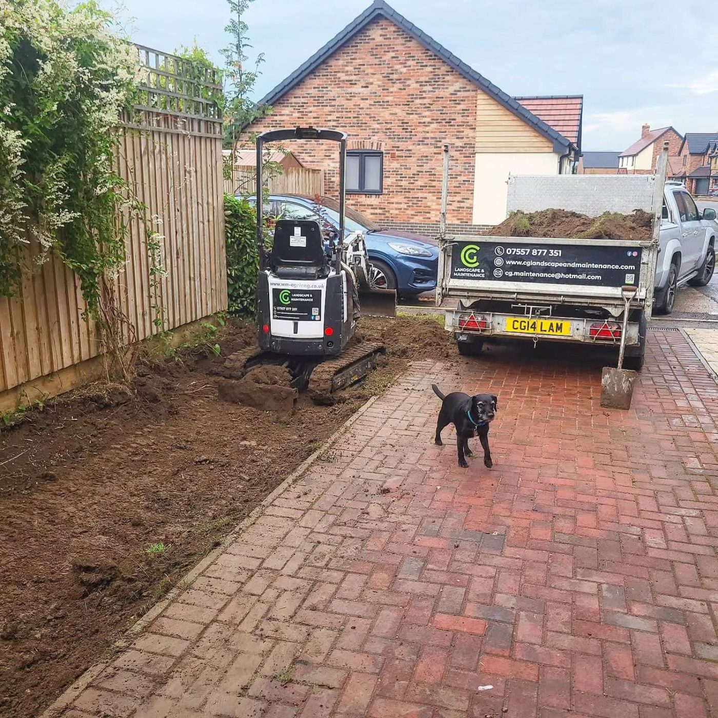 Doris the dog on a landscaping job beside CG Landscape and Maintenance equipment