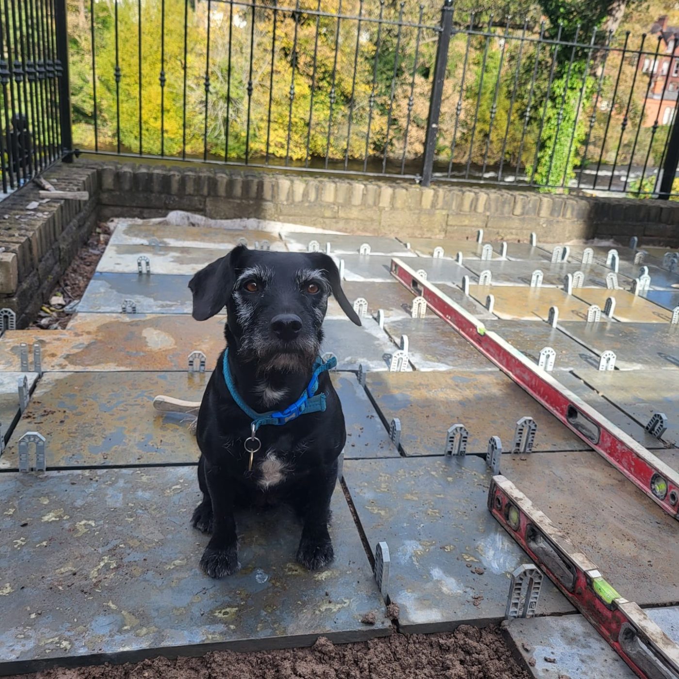 Doris sitting on a patio during paving installation