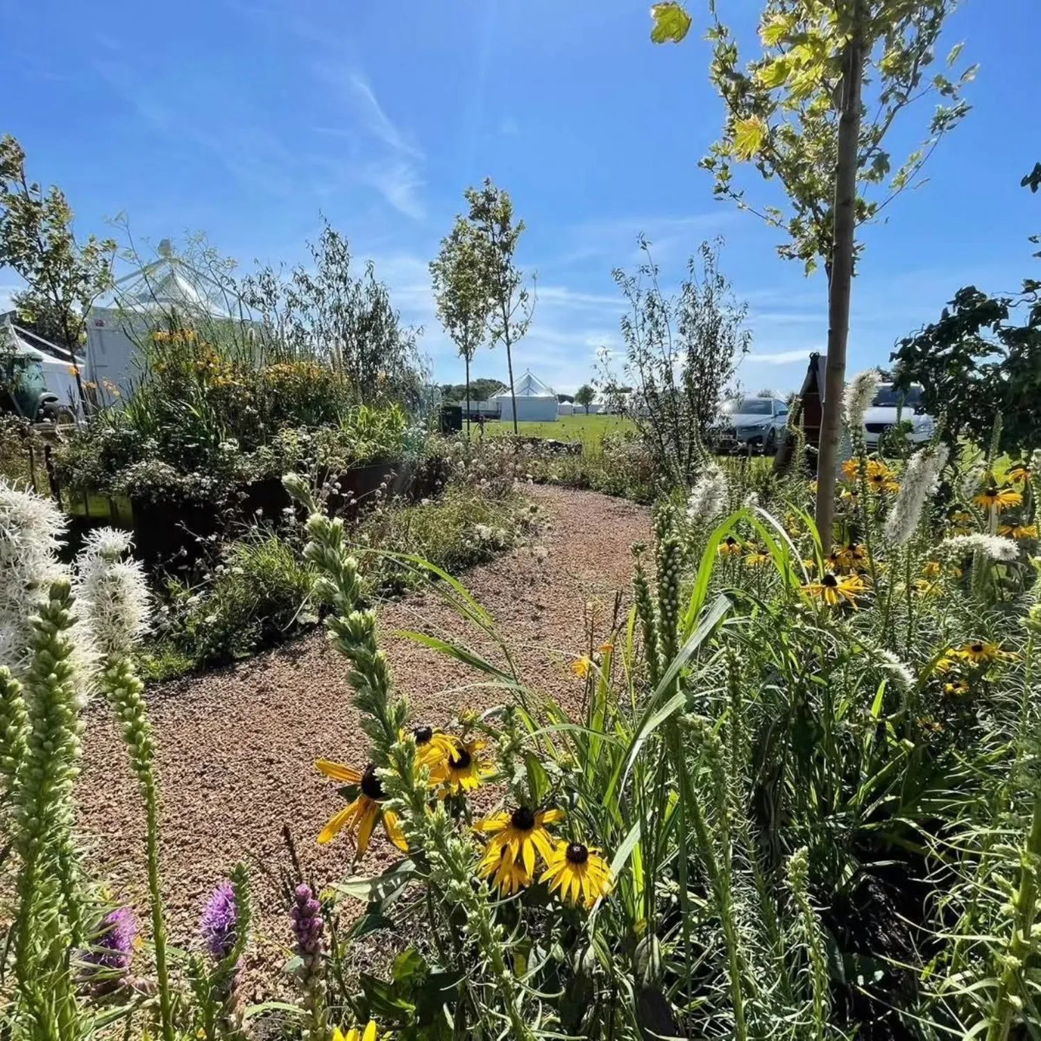 Show garden planting and gravel path