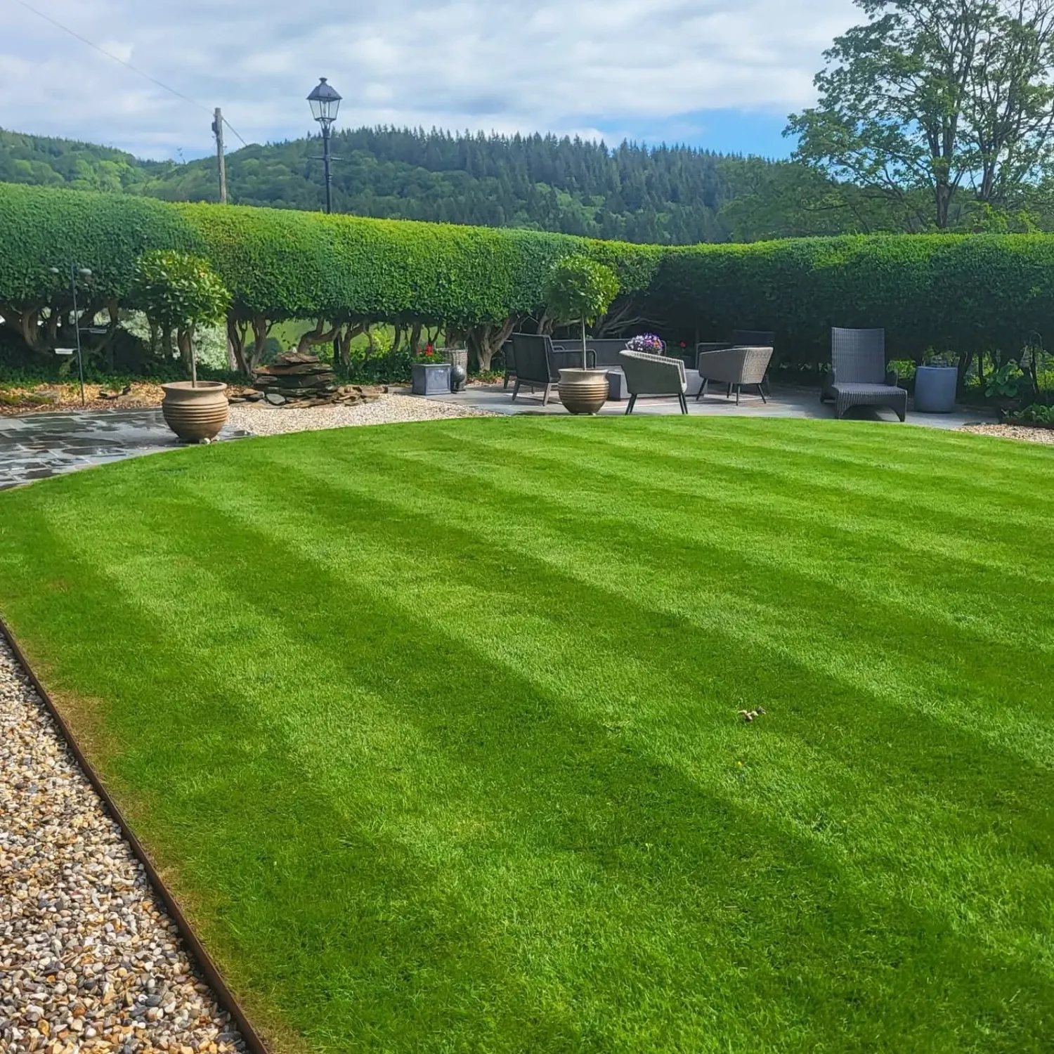 Maintained lawn and clipped hedges