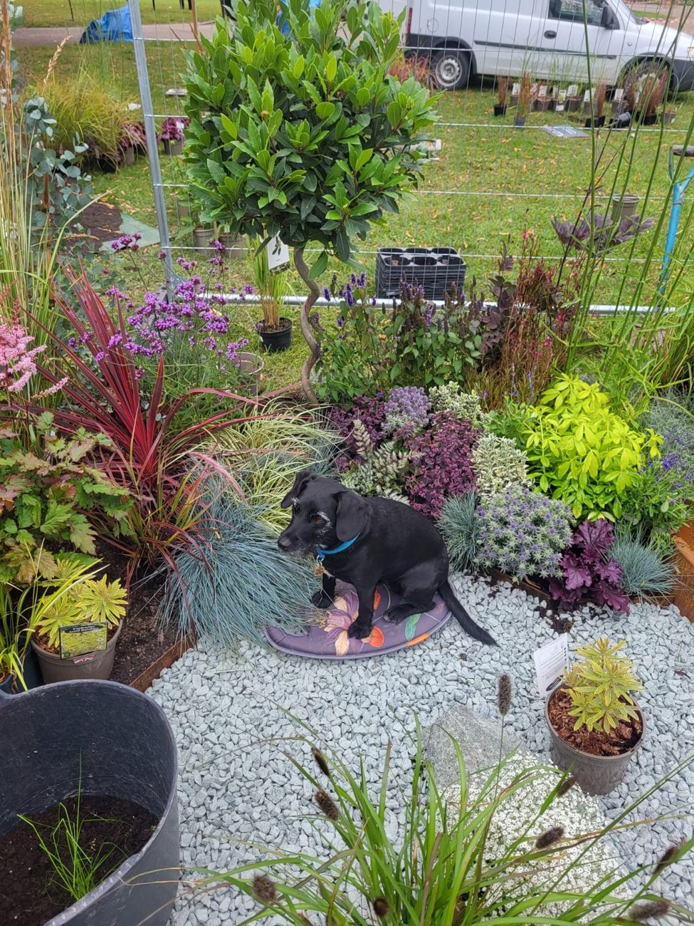Show garden planting